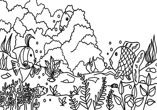 Coloring page: Coral (Nature) #162963 - Free Printable Coloring Pages