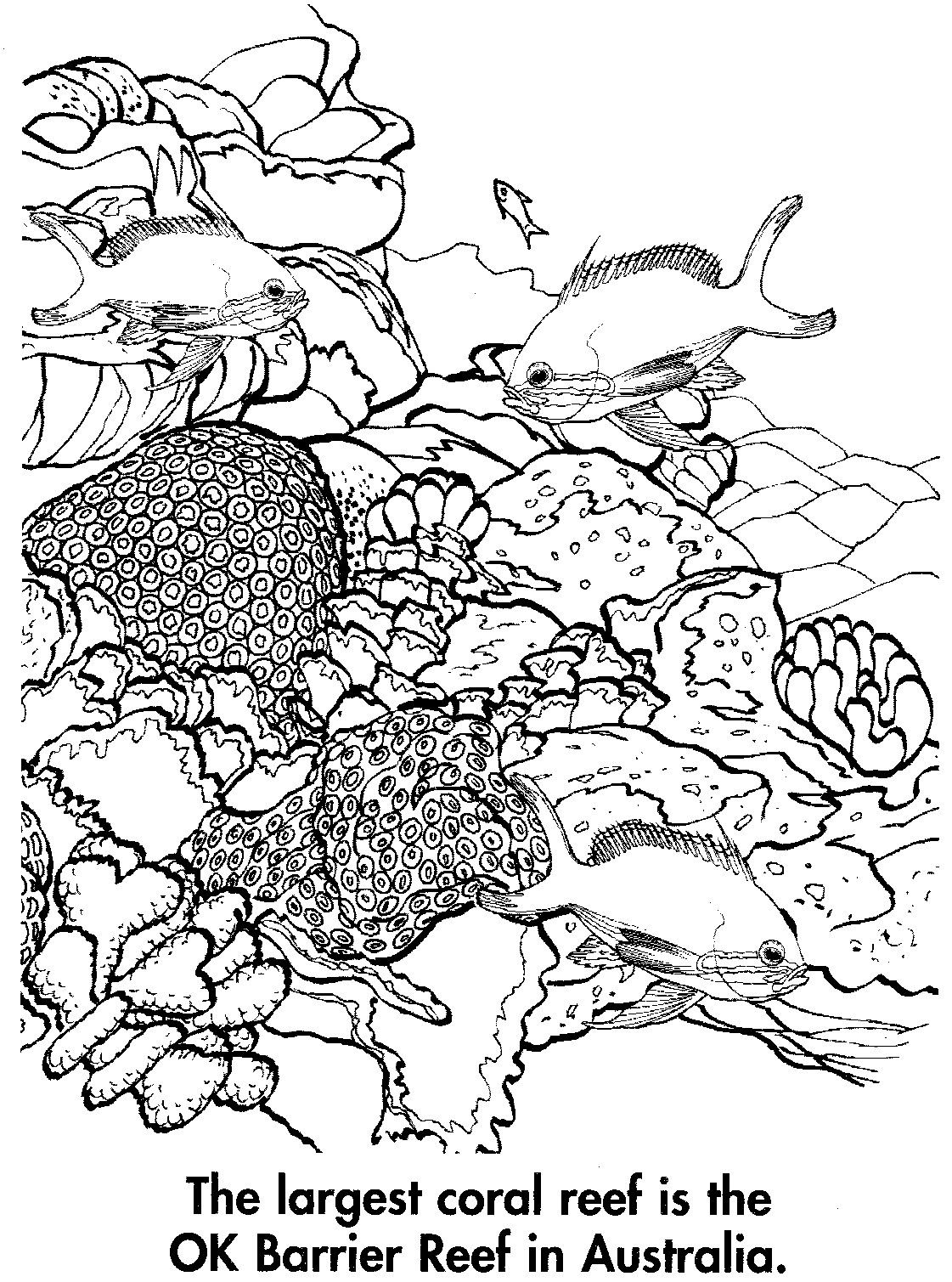 Coloring page: Coral (Nature) #162971 - Free Printable Coloring Pages