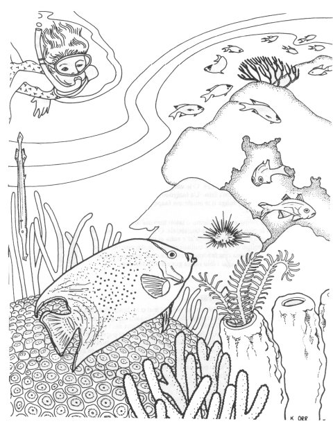 Coloring page: Coral (Nature) #162980 - Free Printable Coloring Pages