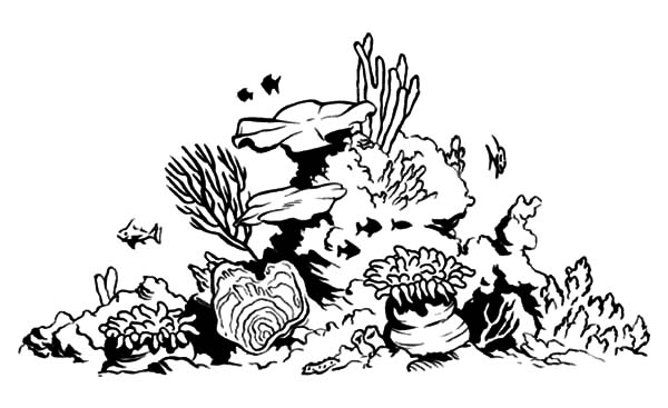 Coloring page: Coral (Nature) #162981 - Free Printable Coloring Pages