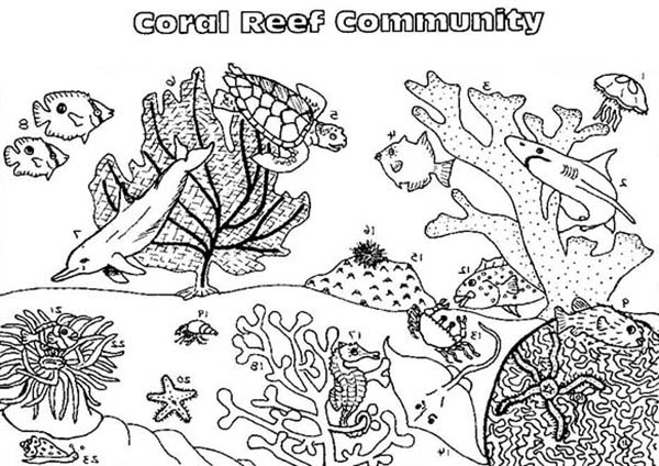 Coloring page: Coral (Nature) #163000 - Free Printable Coloring Pages