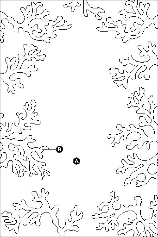 Coloring page: Coral (Nature) #163006 - Free Printable Coloring Pages