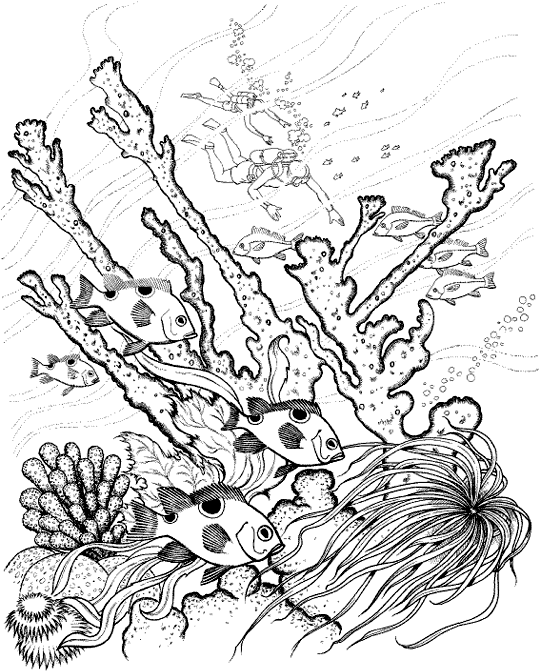 Coloring page: Coral (Nature) #163012 - Free Printable Coloring Pages