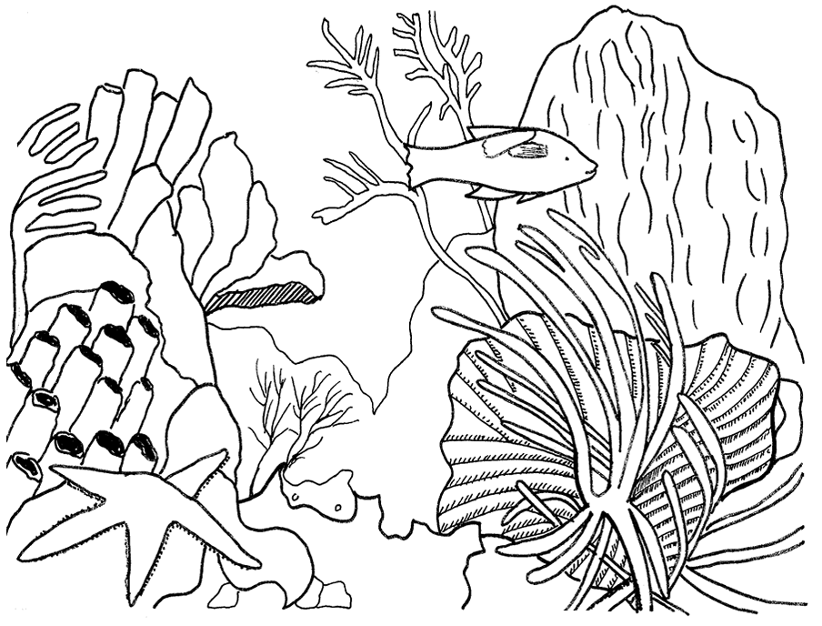 Coloring page: Coral (Nature) #163034 - Free Printable Coloring Pages
