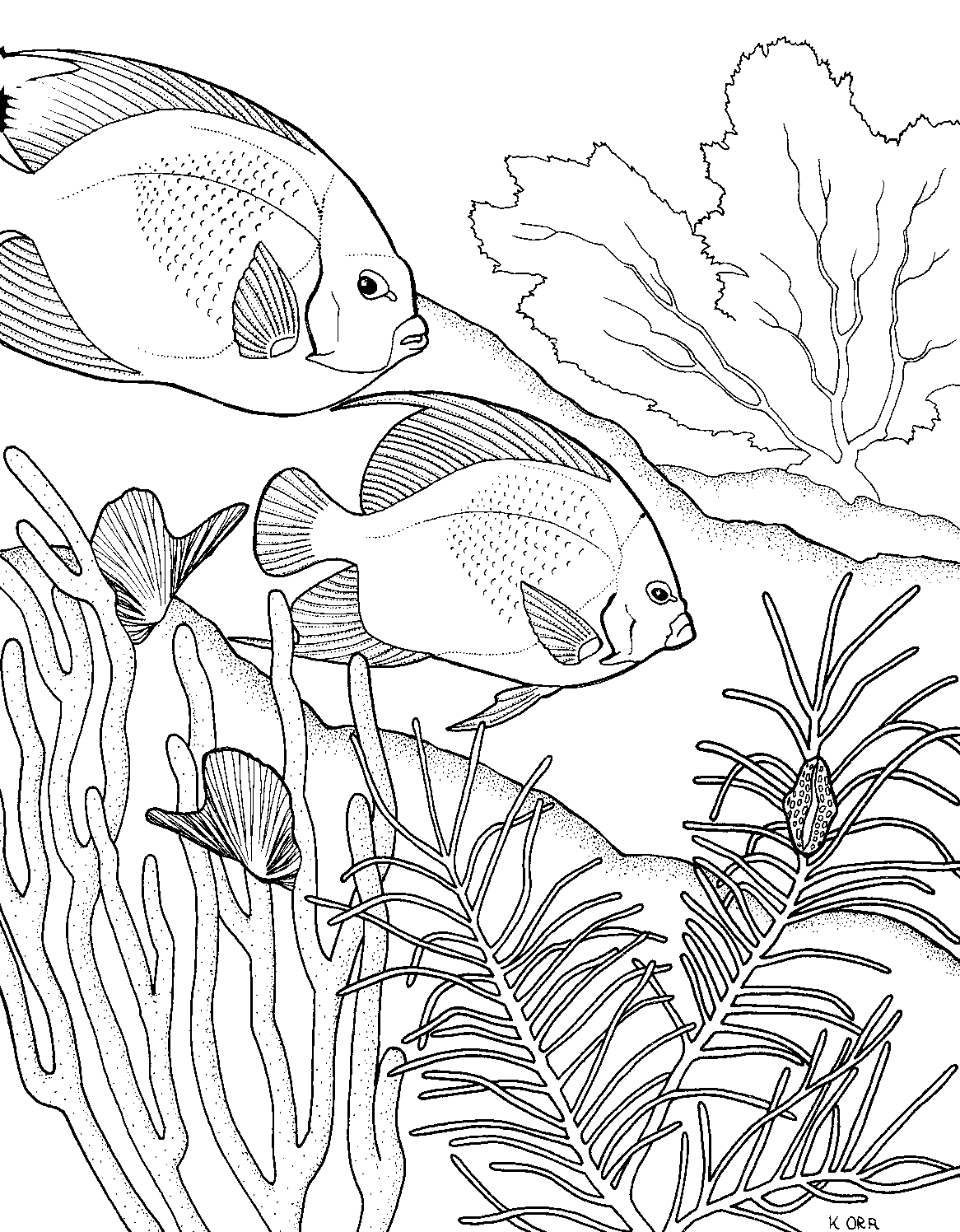 Coloring page: Coral (Nature) #163040 - Free Printable Coloring Pages