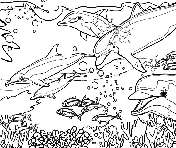 Coloring page: Coral (Nature) #163050 - Free Printable Coloring Pages