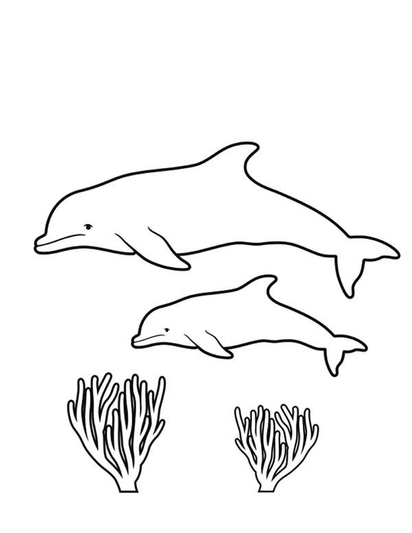 Coloring page: Coral (Nature) #163092 - Free Printable Coloring Pages