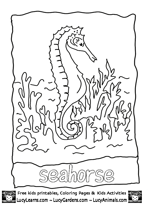 Coloring page: Coral (Nature) #163136 - Free Printable Coloring Pages