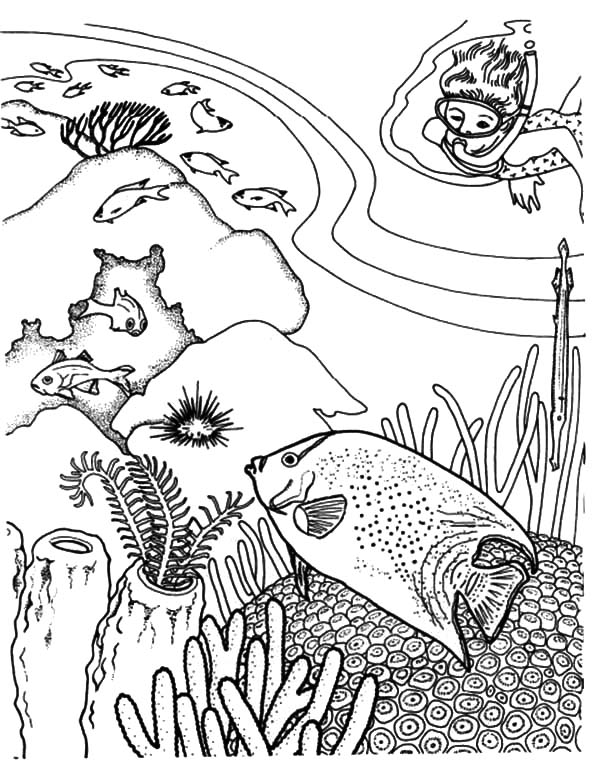 Coloring page: Coral (Nature) #163137 - Free Printable Coloring Pages