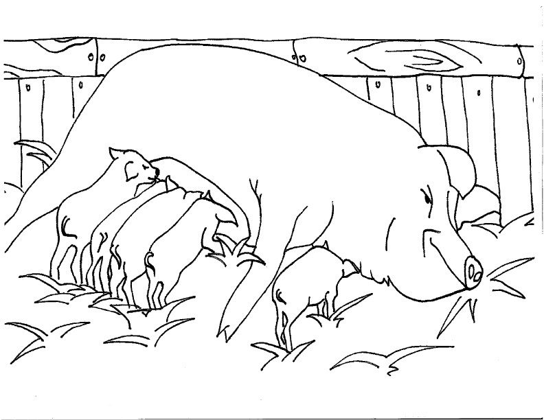 Coloring page: Countryside (Nature) #165459 - Free Printable Coloring Pages