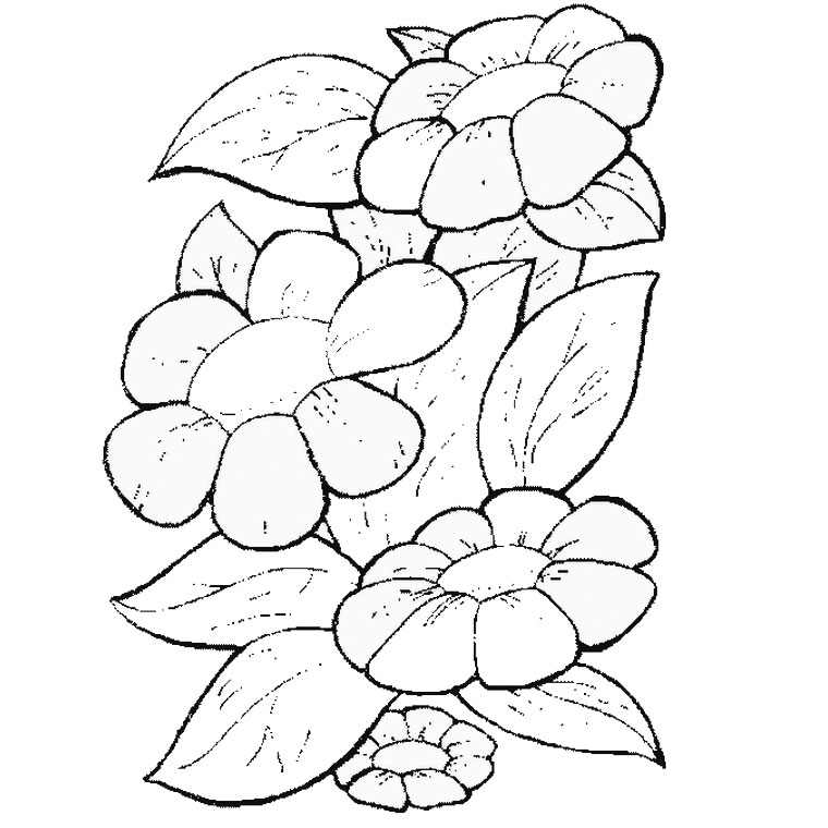 Coloring page: Daisy (Nature) #161367 - Free Printable Coloring Pages