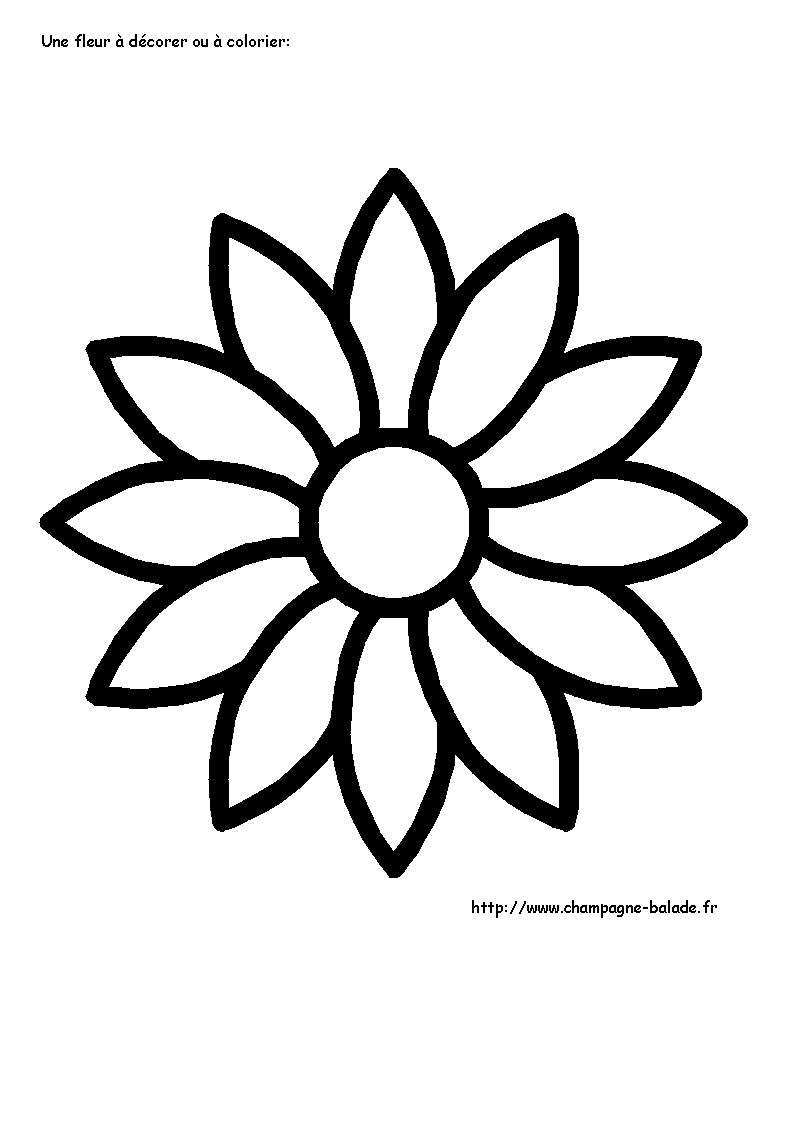 Coloring page: Daisy (Nature) #161376 - Free Printable Coloring Pages