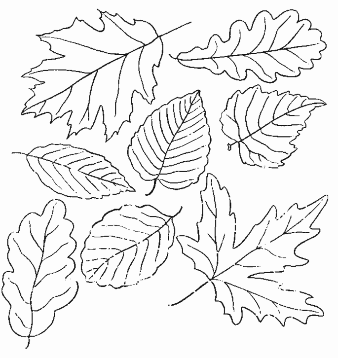Coloring page: Fall season (Nature) #164052 - Free Printable Coloring Pages