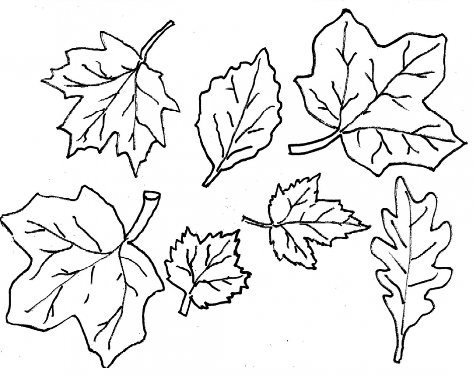 Coloring page: Fall season (Nature) #164059 - Printable Coloring Pages