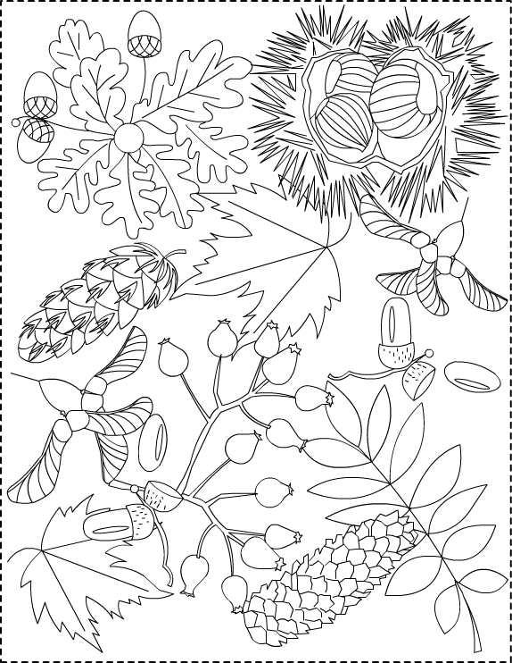 Coloring page: Fall season (Nature) #164066 - Free Printable Coloring Pages