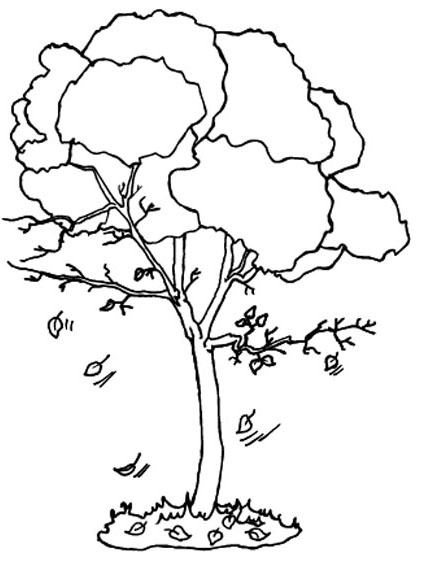 Coloring page: Fall season (Nature) #164072 - Free Printable Coloring Pages