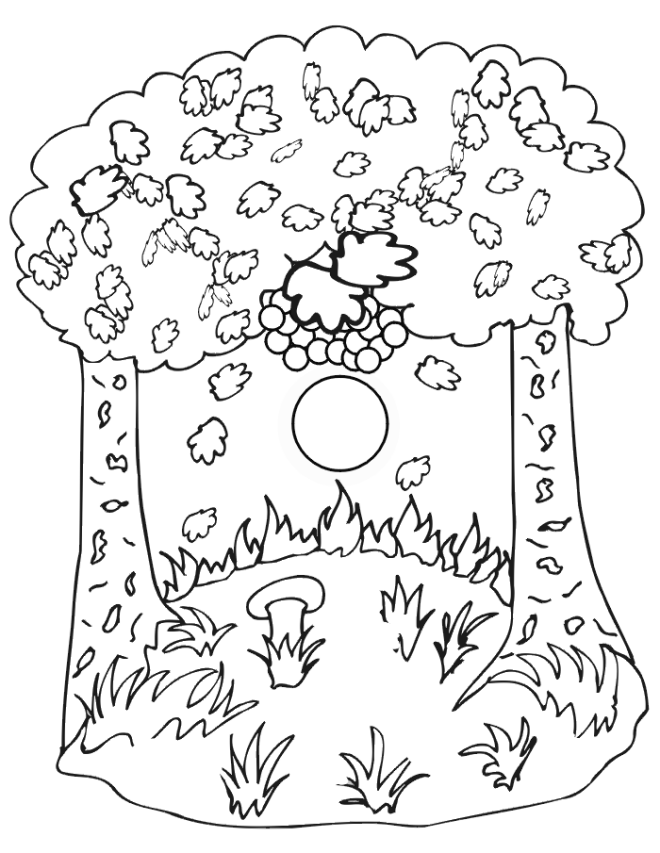 Coloring page: Fall season (Nature) #164086 - Free Printable Coloring Pages