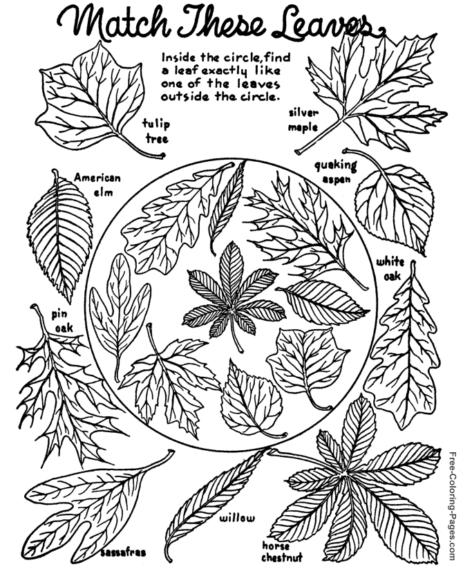 Coloring page: Fall season (Nature) #164089 - Free Printable Coloring Pages