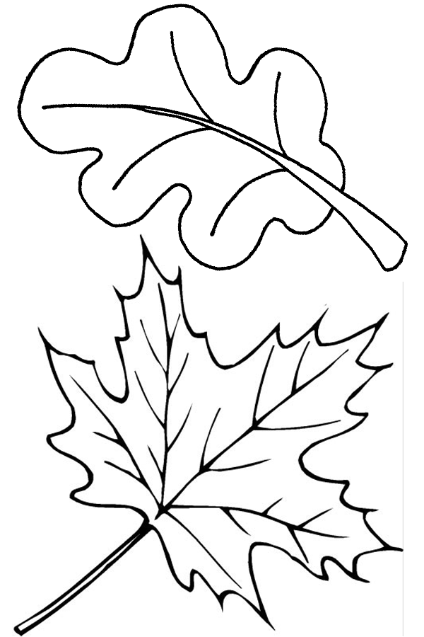 Coloring page: Fall season (Nature) #164093 - Free Printable Coloring Pages