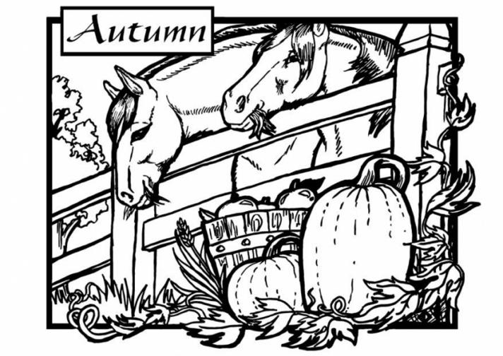 Coloring page: Fall season (Nature) #164101 - Free Printable Coloring Pages