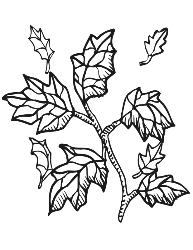 Coloring page: Fall season (Nature) #164107 - Free Printable Coloring Pages