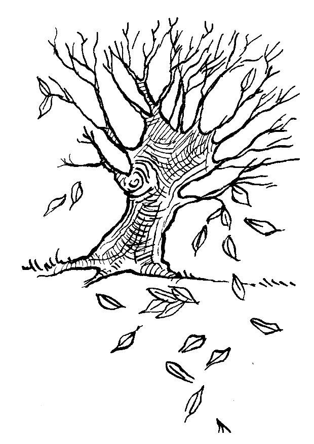 Coloring page: Fall season (Nature) #164119 - Free Printable Coloring Pages