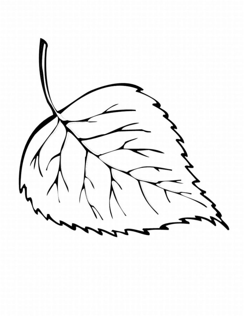 Coloring page: Fall season (Nature) #164137 - Free Printable Coloring Pages