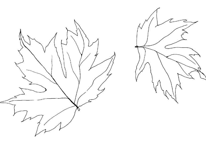 Coloring page: Fall season (Nature) #164140 - Free Printable Coloring Pages