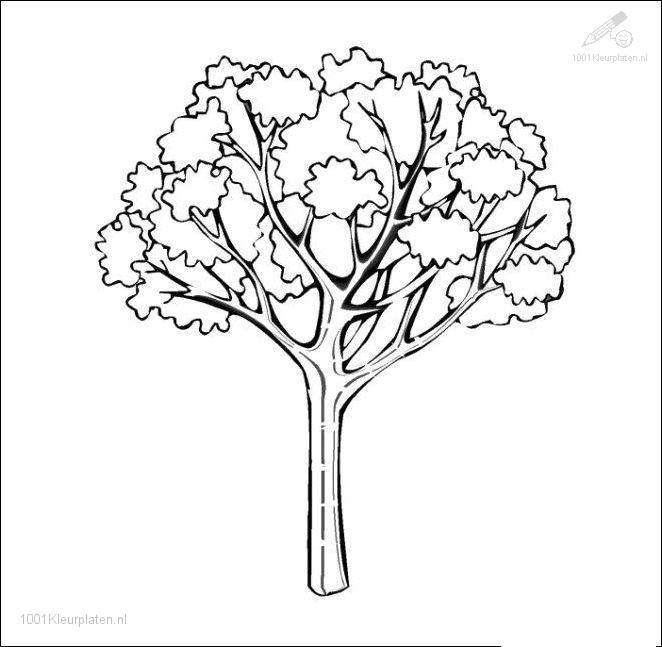 Coloring page: Fall season (Nature) #164163 - Free Printable Coloring Pages