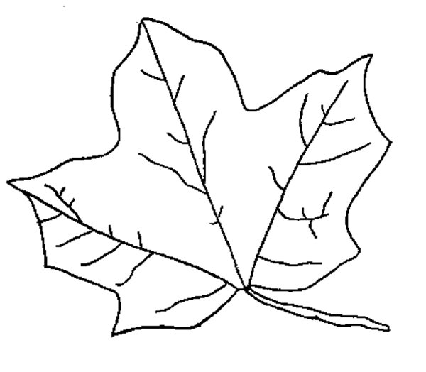 Coloring page: Fall season (Nature) #164173 - Free Printable Coloring Pages