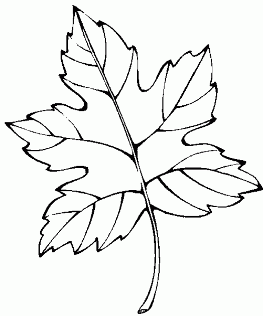 Coloring page: Fall season (Nature) #164180 - Free Printable Coloring Pages