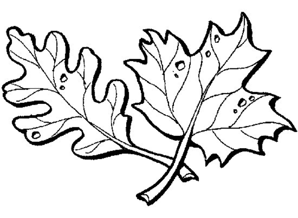 Coloring page: Fall season (Nature) #164195 - Free Printable Coloring Pages