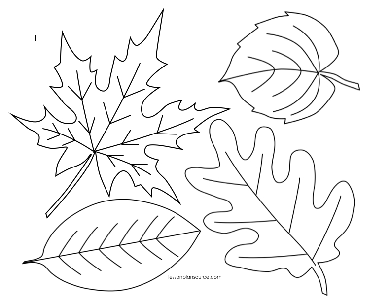 Coloring page: Fall season (Nature) #164199 - Free Printable Coloring Pages