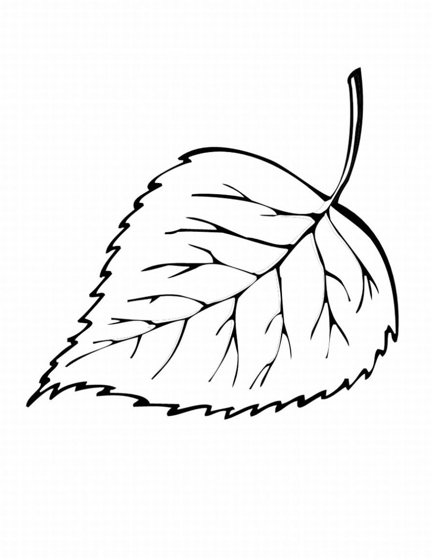 Coloring page: Fall season (Nature) #164211 - Free Printable Coloring Pages