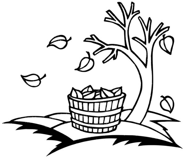 Coloring page: Fall season (Nature) #164241 - Free Printable Coloring Pages