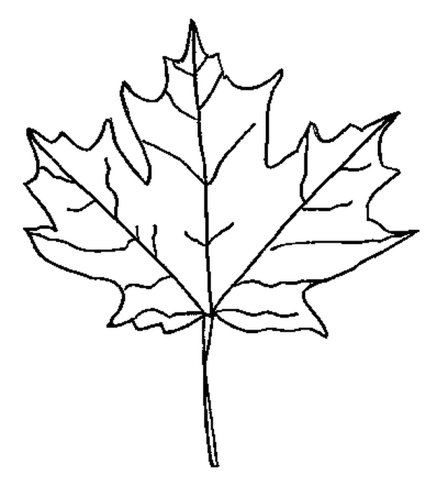 Coloring page: Fall season (Nature) #164244 - Free Printable Coloring Pages