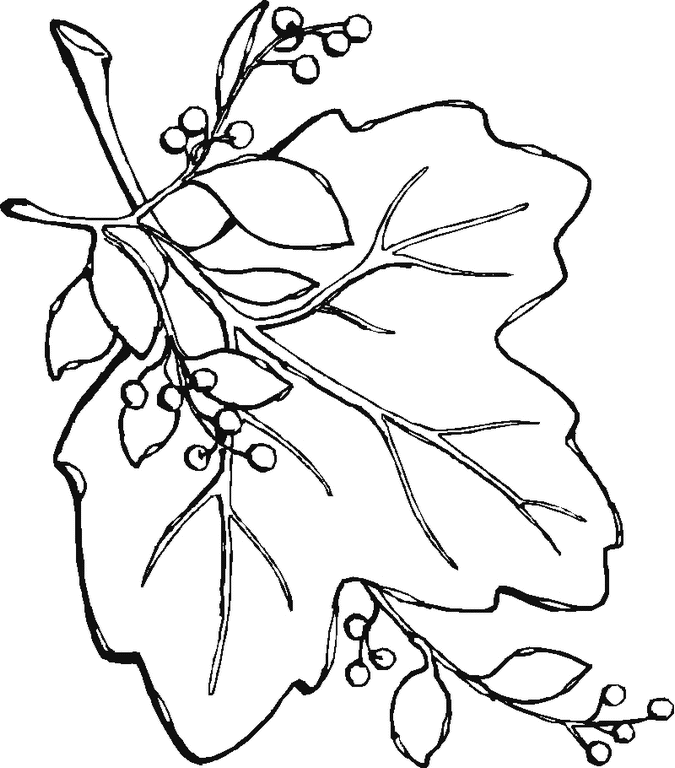 Coloring page: Fall season (Nature) #164255 - Free Printable Coloring Pages