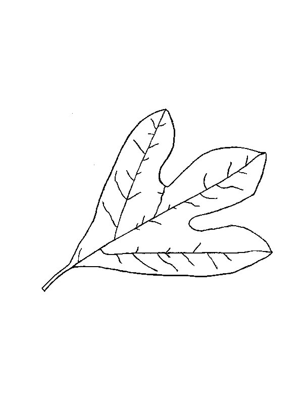 Coloring page: Fall season (Nature) #164264 - Free Printable Coloring Pages