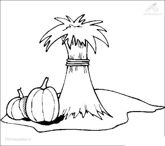 Coloring page: Fall season (Nature) #164266 - Free Printable Coloring Pages