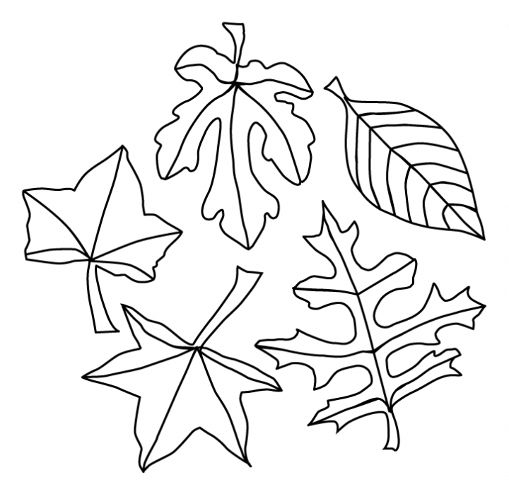 Coloring page: Fall season (Nature) #164273 - Free Printable Coloring Pages