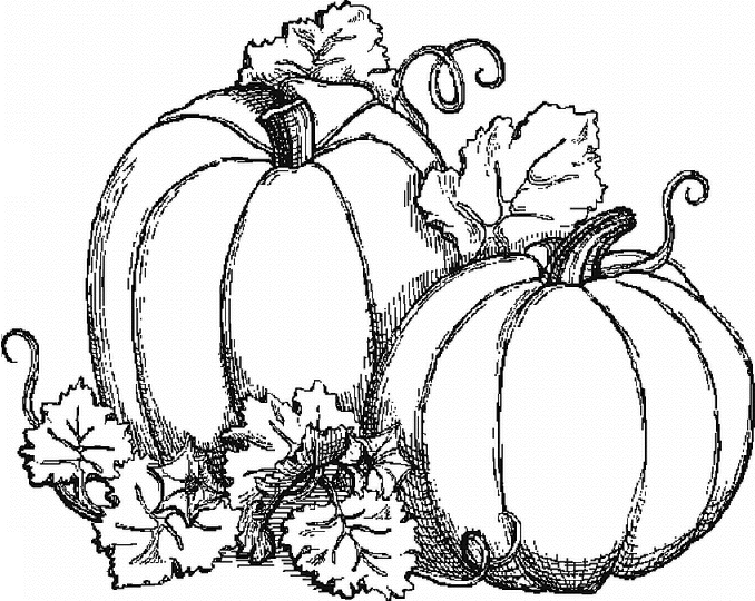 Coloring page: Fall season (Nature) #164293 - Free Printable Coloring Pages