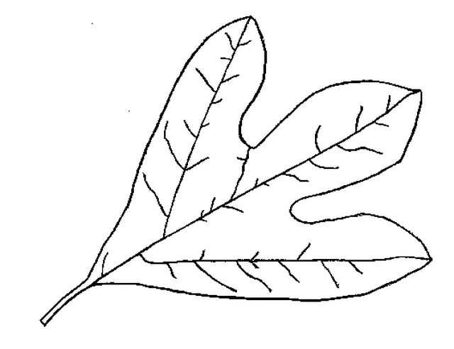 Coloring page: Fall season (Nature) #164302 - Free Printable Coloring Pages