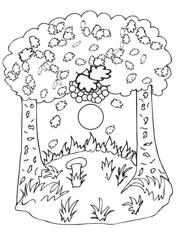 Coloring page: Fall season (Nature) #164306 - Free Printable Coloring Pages