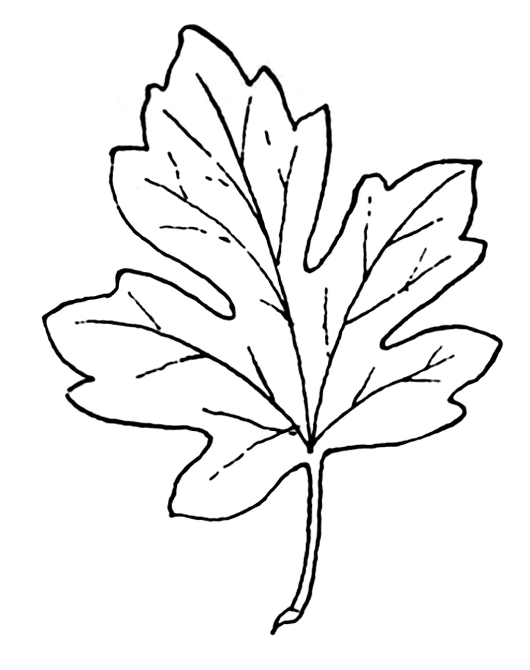 Coloring page: Fall season (Nature) #164317 - Free Printable Coloring Pages