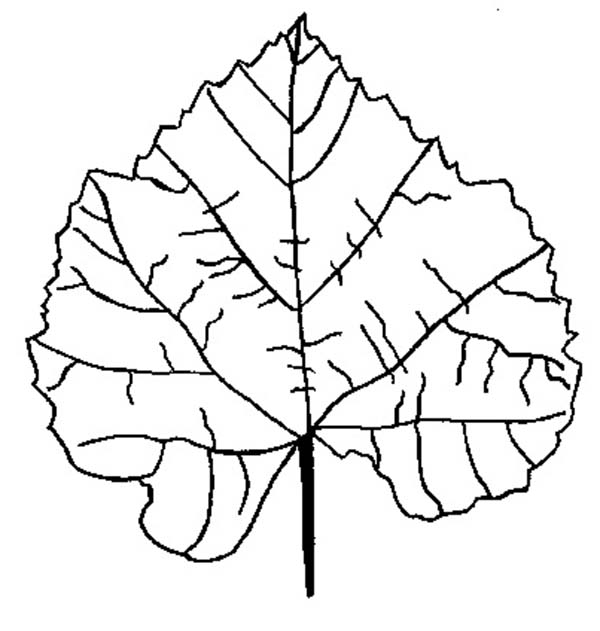 Coloring page: Fall season (Nature) #164330 - Free Printable Coloring Pages