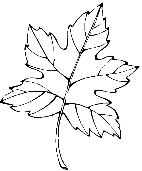 Coloring page: Fall season (Nature) #164351 - Free Printable Coloring Pages