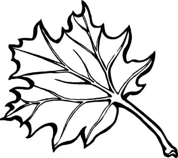 Coloring page: Fall season (Nature) #164357 - Free Printable Coloring Pages