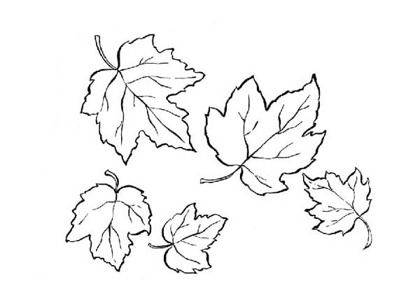 Coloring page: Fall season (Nature) #164376 - Free Printable Coloring Pages