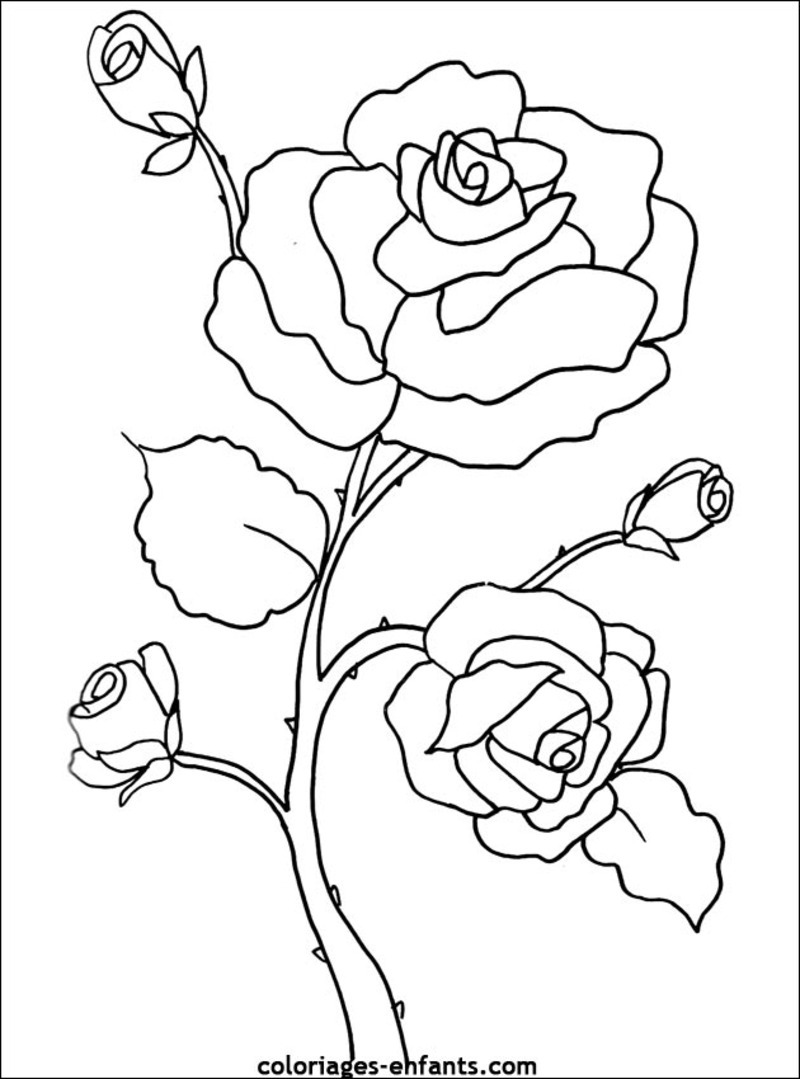 Coloring page: Flowers (Nature) #154967 - Free Printable Coloring Pages
