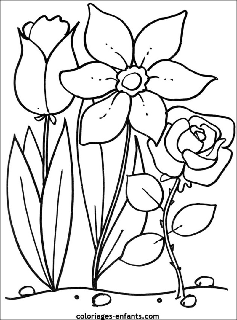 Drawing Flowers #154975 (Nature) – Printable coloring pages